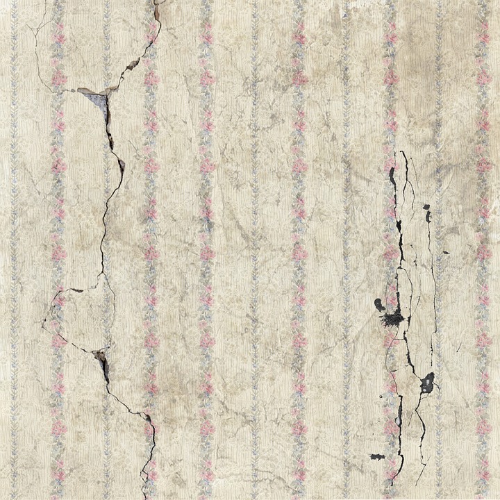 Mold In Bathroom Landlord Responsibility mold in your home. liability, responsibility and how to prevent Mold In Bathroom Landlord Responsibility mold in your home. liability, responsibility and how to prevent