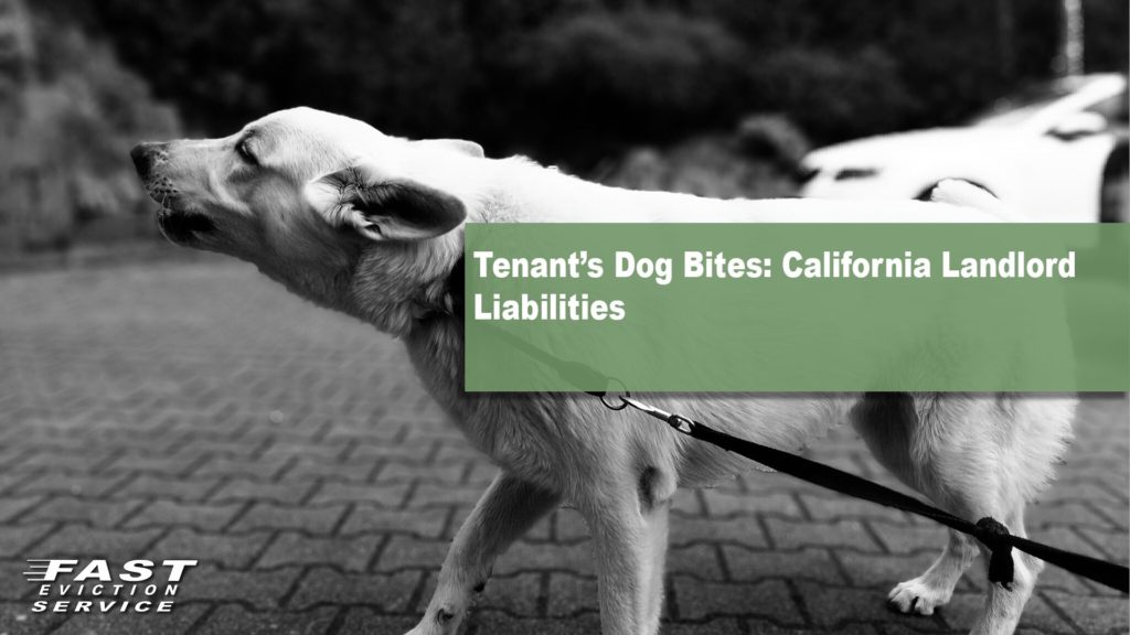 Tenant's Dog Bites: California Landlord Liabilities