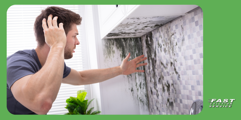 How to Get Rid of Mold for Good