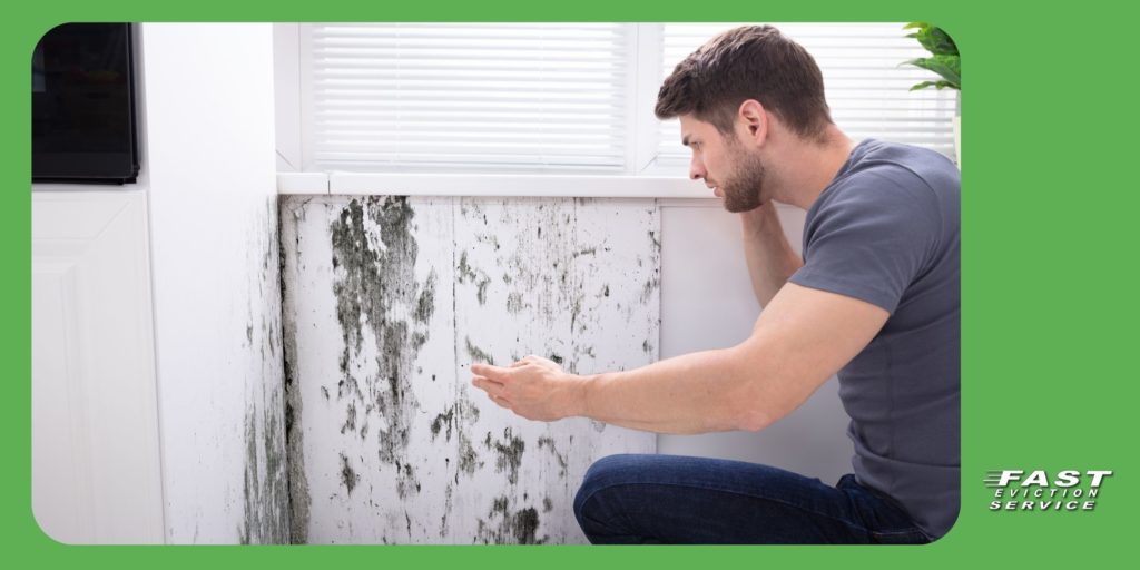 Who is Responsible for Mold Issues in California?